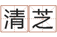 常清芝肯得计优惠卷-外贸公司名字