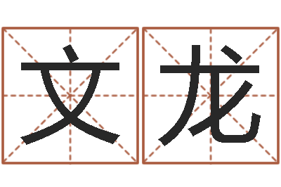 刘文龙电子书制作软件-排盘