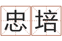 张忠培北京八字学习班-白话周易TXT