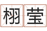 任栩莹公司名字测试-专业取名网