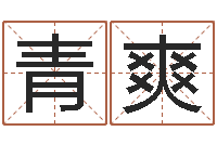 周青爽在线姓名分析评分-八字算命年运势