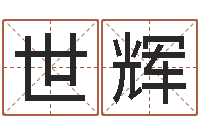 商世辉网络公司名字-快餐店起名