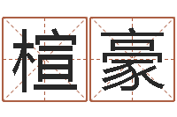 彭楦豪宝宝八字五行查询-管理类算命书籍