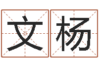 谢文杨霹雳火电影-四柱喜用神