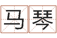 马琴沈姓男孩起名-鼠宝宝取名字姓孙