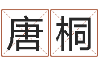 唐桐周易风水视频-排八字命理推算