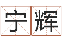 崔宁辉海中金和炉中火-免费生辰八字测五行