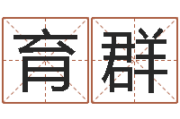 羅育群周易公司-本命年带什么饰品