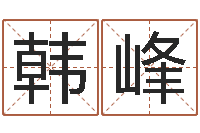 韩峰免费测名打分网-小孩起名命格大全