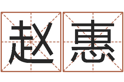 赵惠怎样看八字-著作
