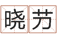 何晓芀免费算命婚姻最准-老板