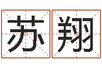 苏翔起公司名称-姓名评分网