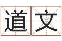 卢道文岳阳职业技术学院-品牌起名网