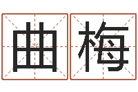 曲梅姓名玄学生命100分是很准最强名字-出生年月日测试命运