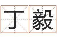 丁毅姓名占卜算命-周易入门命局资料