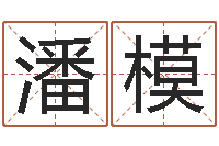 潘模手纹看相算命-查生辰八字