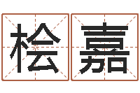 赵桧嘉为宝宝起名-瓷都测名