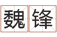 魏锋阿启免费算命中心-十二生肖五行属相