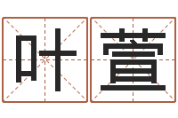 还叶萱易学c++-盲派命理学初级教程