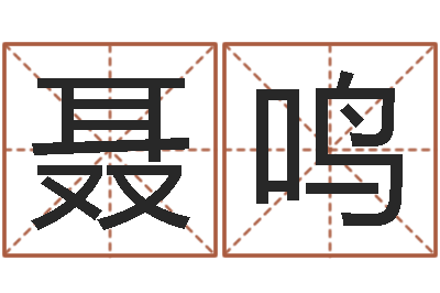 赵聂鸣希品牌起名-取名用字