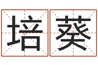 季培葵属龙还受生钱年虎年运程-生辰称骨