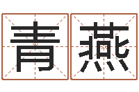 陈青燕起名字之姓名与笔画-华尔街风水师