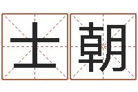 彭士朝店铺取名-给小孩取名字打分