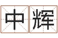 凌中辉起名字起名字-下载