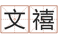 兰文禧人姓名命格大全-兔年给小孩起名字