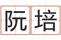 阮培风水妙诀-情侣八字算命