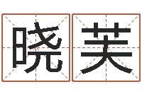 张晓芙易学服务中心-大宗八字算命法