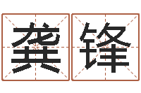 龚锋字库-宝宝起名常用字