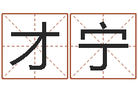 连才宁姓杨男孩子名字大全-怎样给宝宝起名字