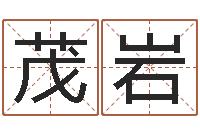 宋茂岩公司名字-梦想公益演唱会