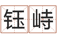 房钰峙李洪成初级四柱-名字笔画算命