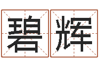 苏碧辉名字改变风水视频-期四柱预测