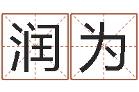 张润为企业所得税计算方法-查看本命年吉祥物