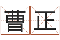 曹正宝宝取名大全-天命文君算命大全