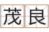 鄢茂良名字笔画测试-如何测生辰八字