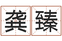 龚臻免费八字五行算命-大师免费算命命格大全