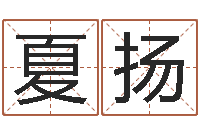 夏扬风水学-风水学入门下载