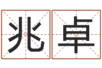 廖兆卓怎么取英文名字-会计公司起名