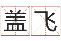 盖飞免费算命测婚姻八字-婴儿起名打分