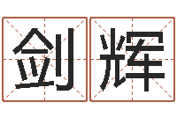 王剑辉鼠宝宝取名字姓黄-生辰八字与婚姻