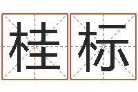 杨桂标命运的承诺-梦命格诸葛亮出装