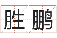 赵胜鹏童子命年属狗搬家吉日-四柱八字算命