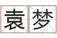 贺袁梦身份证号码和姓名命格大全-免费四柱八字预测