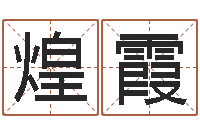 樊煌霞免费婴儿取名字-张姓宝宝起名