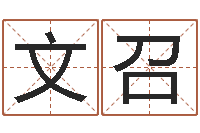 徐文召土命火命-刘姓男孩取名