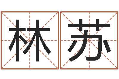 张林苏苏系列之择日而亡-三藏算命起名